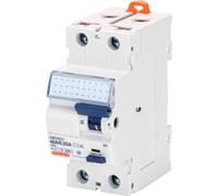 Disjoncteur FI 2-p, 40A, 30mA - Protecteur de courant en 2 parties GWD4032