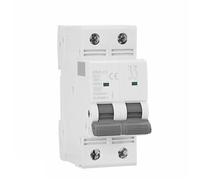 Disjoncteur GYM9 Mini disjoncteur biphasé DP MCB Courant nominal 80 A 100 A 125 A 2P Largeur 35,6 mm 400 V kA 1 pièce(80A)