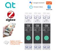 Disjoncteur intelligent TUYA ZigBee avec mesure 1P 63A Rail DIN pour maison intelligente commutateur de télécommande sans fil par application Smart Life