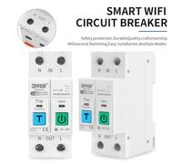 Disjoncteur intelligent WIFI TUYA 2P, dispositif de protection contre les fuites de courant et de tension, interrupteur de télécommande réglable, compteur d'énergie L + N