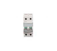 Disjoncteur isotherme modulaire 100A 2P disjoncteur FR300 406449
