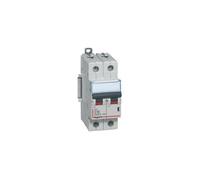 Legrand Disjoncteur bipolaire DX3 407784 16A 2P Courbe C 6/10kA à vis