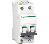 Disjoncteur LS Schneider Electric A9F05201