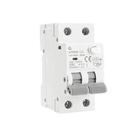 Disjoncteur magnétique GYR9NM de Type AC RCBO 2P 4P, avec Protection contre les surintensités et les fuites, Rail Din 10A 16A 25A 32A 40A(300mA,2P 32A)