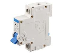 Disjoncteur miniature 1 pôle 230V AC DZ47-63 Coupe-circuit 63A Capacité de rupture 6KA