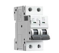 Disjoncteur miniature à rail DIN GYM9 2P 6KA avec capacité de coupure 6A-63A AC Type Fabricant direct d'usine(10A)