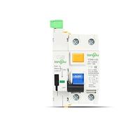 Disjoncteur Miniature Domestiques RCCB RCD 6KA AC 2P 230V Type Disjoncteur différentiel à dispositif de réenclenchement automatique 63A 30mA 100mA 300mA intelligent(2Pole 100mA,25A)