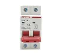 Disjoncteur miniature DZ47 400 V 2P 3-125 A type C, protection contre les courts-circuits et surcharges, montage sur rail DIN 35 mm(25 V)
