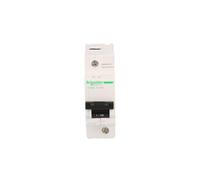 Disjoncteur modulaire 1P C 100A 10kA AC C120N Acti9 A9N18358