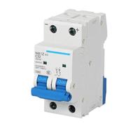 Disjoncteur NB1Z-63 DC220V 1P 2P 10A 16A 20A 25A 32A 40A 50A 63A(2P,20A)