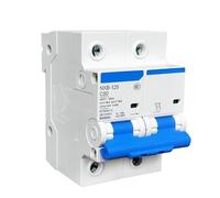 Disjoncteur NXB-125 2P Type C boîtier moulé MCB Icu10kA Ics7.5KA 400 V 415 50 Hz 63 A 80 A 100 A 125 A 1 pièce(125A)