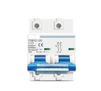 Disjoncteur Rail DIN 2P 80A 100A 125A DC MCB 600V 10kA(100A)