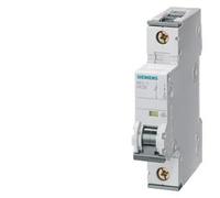 Disjoncteur Siemens 5SY6 - 5SY61066