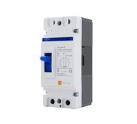Disjoncteur solaire à boîtier moulé 2P DC Courbe B 500 V MCCB Protection contre les surcharges for photovoltaïque PV(125A)