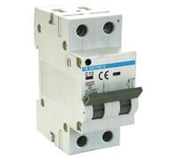 Disjoncteur thermique magnétique, 1P+N, 40A 6kA, protection contre les surcharges