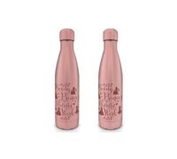 Disney - bouteille en métal - princess (thirsty work) - 550ml