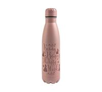 Disney Gourde isotherme - Princesses -Disney - 500ml - Chaud et Froid