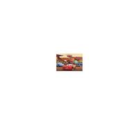 Disney Cars (Characters) 61 X 91.5 Cm Maxi Poster