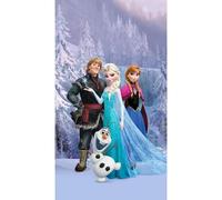 Disney La Reine De Neige -Set 1 Rideau Pour Chambre D'enfant /Porte Française -140x245 Cm