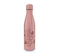 Disney Gourde isotherme Princesses – Chaud et froid – 500 ml