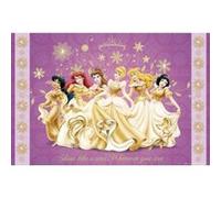 DISNEY PRINCESS - 61x91,5 cm - AFFICHE / POSTER G