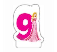 Disney Princesse et Animaux 9Th Bougie d'anniversaire
