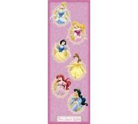 DISNEY - Princesses - 30,5x91,5 cm - AFFICHE / POSTER G