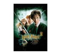 Displate Officiel Harry Potter Métallique Fixation Magnétique Licence Officielle Image Affiche de Haute Qualité Chamber of Secrets Movie Posters - Harry Potter 2 movie - Größe M - 32x45cm Matt