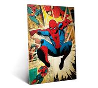 Displate Officiel Marvel Poster Métallique Fixation Magnétique Licence Officielle Image Affiche de Haute Qualité Marvel Silver Age - Spider-Man 32x45cm - Matt