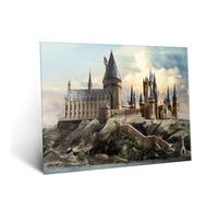 Displate - Poster en Métal - Wizarding World - Various Artworks - Hogwarts by Day hauteur 67,5 cm largeur 48 cm
