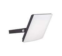 DISPLAY 24 FLOODLIGHTS WALL 30W