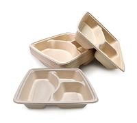 DISPOSABLE GREEN® Assiettes carrées de 25 cm avec 3 compartiments - 25 pièces - Super résistantes - Bagasse de canne à sucre non blanchie, biodégradables, respectueuses de l'environnement