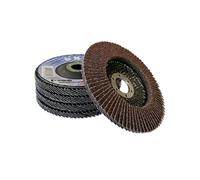 disque a lamelle diametre 125 (lot de 5) - grain 120 - Bgs Technic