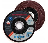 Disque à meuler MAMMOOTH M.FLA29.125.40/B