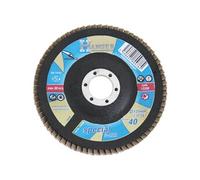 Disque bombé à lamelles zirconium 125mm grain 120 - - 150033