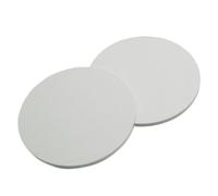 Disque en plastique blanc opaque Disque rond ABS blanc 2 pièces 300mm diamètre 1-5mm d'épaisseur for bricolage(Thickness 1mm)
