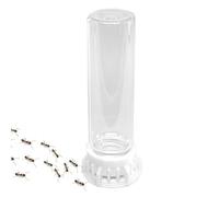Distributeur d'Eau pour Fourmis Nourrisseur Liquide Pour Petits Animaux | Accessoires Anti-Fuite Pour Fourmilière Portable, Station D'alimentation Robuste Pour Nid D'intérieur