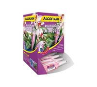 ALGOFLASH Monodose Revitalisante Orchidées, Une dose pour une cure de 4 semaines, 30 ml, DISORCHID