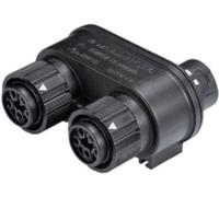 Distributeur Wieland RST16I5V 2P1 TGVG SW - Soldes% Divers
