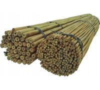 DIXIE STORE - Lot de tuteurs en bambou pour fleurs - 100 pièces de 90 cm, 12/14 mm