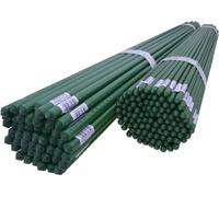 DIXIE STORE Tuteurs pour plantes, tuteurs pour tomates, 120 cm, Ø 9 mm, 50 pièces