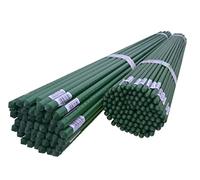 Dixiestore - Tuteurs pour Plantes de Jardin, Tomates, Concombres, Fleurs - Tiges de Support Plantes Grimpantes - Piquets en métal - Longueur : 150cm Ø 11mm 50 Pcs.