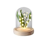 DIY Flower Orchid Night Light with Glass Hood Battery, Powered Desktop Light for Birthday Gift