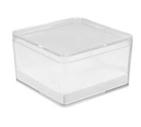 DIYEAH Boîte Transparente pour Insectes Mini Épingles, en Plastique Élégant, Passionnés D'entomologie et L'affichage Sécurisé des Spécimens
