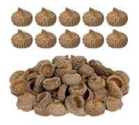 DIYEAH Lot de 150 Capuchons De Gland Naturels Séchés pour Décoration Maison À Faire Soi-Même Bricolage Noël Décoration De Table De Fête Automne Thanksgiving Hiver