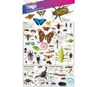 Dkfindout! Bugs Poster - [Version Originale] Dk (Auteur)