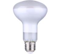 DL DAYLIGHTITALIA Ampoule de remplacement pour lampe Frisbi Flos - LED FIL R80 220/240V 7W E27 2700K SATIN DIM