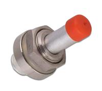 DL SERVICE Valve de signalisation Aeternum pour Lagostina, compatible avec autocuiseur 3,5,7,9 litres | Code Y0RAA00012, Y0RAA00003 N136