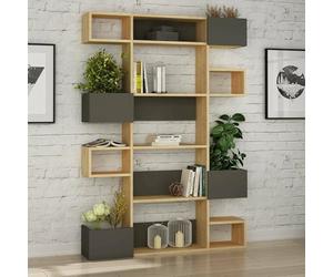 Dmora - Bibliothèque Thetis, Etagère de Bureau, Porte-Livre Mobile, Librairie, 120x20h171 cm, Chêne et Anthracite