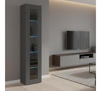 Dmora - Vitrine Vladimiro, Buffet avec 1 Porte avec étagères en Verre, Meuble de Salon Polyvalent, 100% Made in Italy, cm 40x30h180, Anthracite